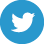 twitter icon